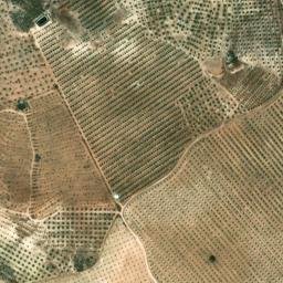 Satellite imagery of survey_point, DZ