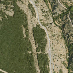 Satellite imagery of survey_point, DZ