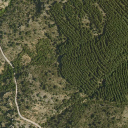 Satellite imagery of survey_point, DZ