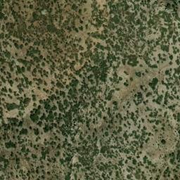 Satellite imagery of survey_point, DZ