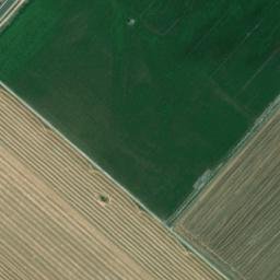 Satellite imagery of survey_point, DZ