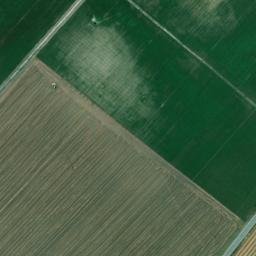 Satellite imagery of survey_point, DZ