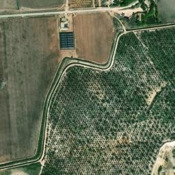 Satellite imagery of survey_point, DZ