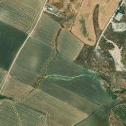 Satellite imagery of survey_point, DZ