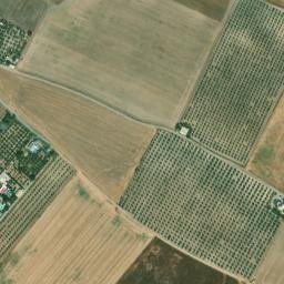 Satellite imagery of survey_point, DZ