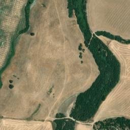 Satellite imagery of survey_point, DZ