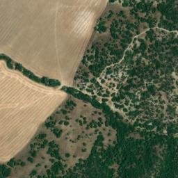 Satellite imagery of survey_point, DZ