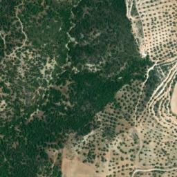 Satellite imagery of survey_point, DZ