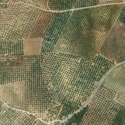 Satellite imagery of survey_point, DZ
