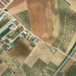 Satellite imagery of survey_point, DZ