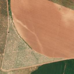 Satellite imagery of survey_point, DZ