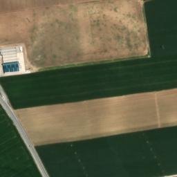 Satellite imagery of survey_point, DZ