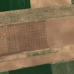 Satellite imagery of survey_point, DZ