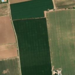 Satellite imagery of survey_point, DZ