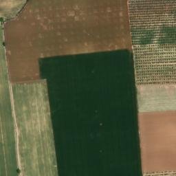 Satellite imagery of survey_point, DZ