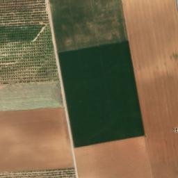Satellite imagery of survey_point, DZ