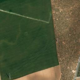 Satellite imagery of survey_point, DZ