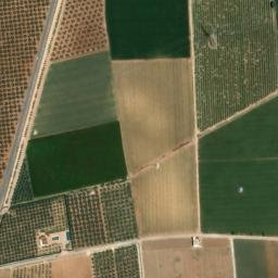 Satellite imagery of survey_point, DZ