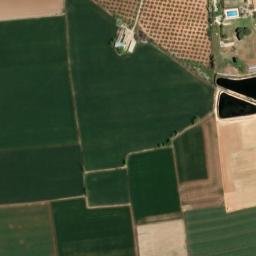 Satellite imagery of survey_point, DZ