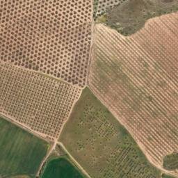 Satellite imagery of survey_point, DZ