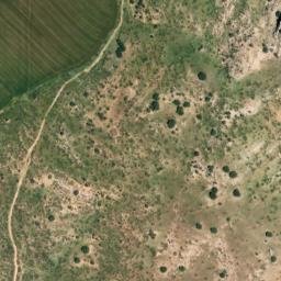 Satellite imagery of survey_point, DZ