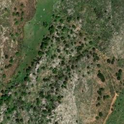 Satellite imagery of survey_point, DZ