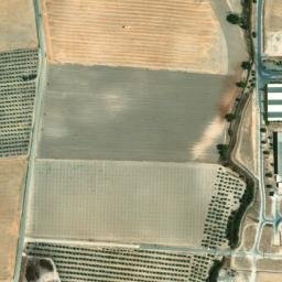 Satellite imagery of survey_point, DZ