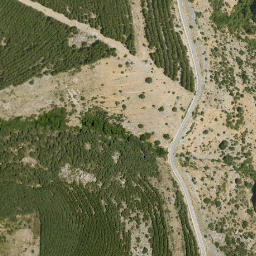 Satellite imagery of survey_point, DZ