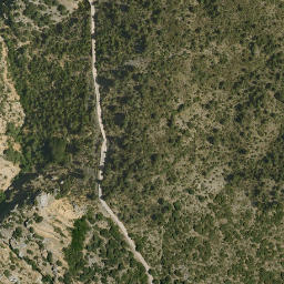 Satellite imagery of survey_point, DZ