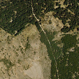 Satellite imagery of survey_point, DZ