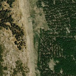 Satellite imagery of survey_point, DZ