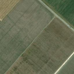 Satellite imagery of survey_point, DZ