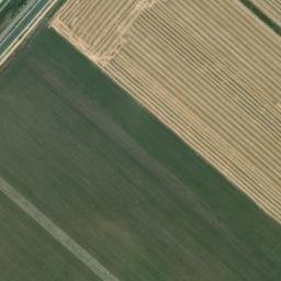 Satellite imagery of survey_point, DZ