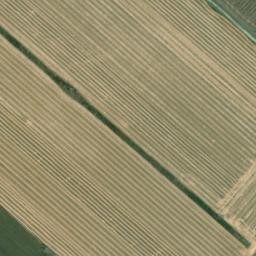 Satellite imagery of survey_point, DZ