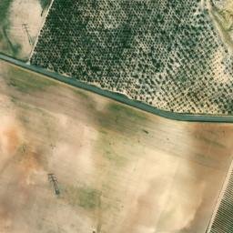 Satellite imagery of survey_point, DZ