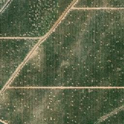Satellite imagery of survey_point, DZ