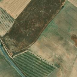 Satellite imagery of survey_point, DZ