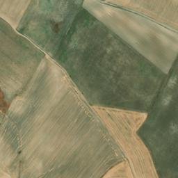 Satellite imagery of survey_point, DZ