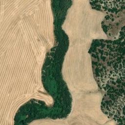 Satellite imagery of survey_point, DZ