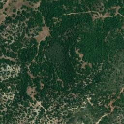 Satellite imagery of survey_point, DZ