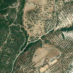 Satellite imagery of survey_point, DZ