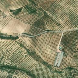 Satellite imagery of survey_point, DZ