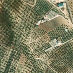 Satellite imagery of survey_point, DZ
