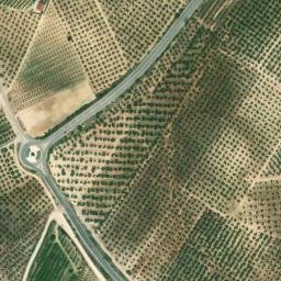 Satellite imagery of survey_point, DZ