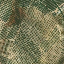 Satellite imagery of survey_point, DZ