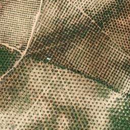 Satellite imagery of survey_point, DZ