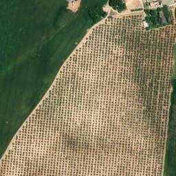 Satellite imagery of survey_point, DZ