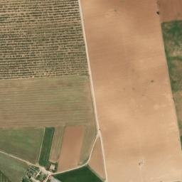 Satellite imagery of survey_point, DZ