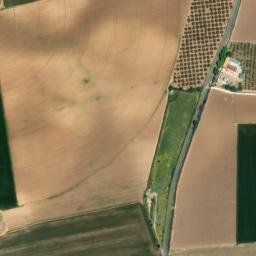 Satellite imagery of survey_point, DZ