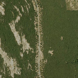 Satellite imagery of survey_point, DZ